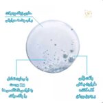 ژل شستشوی صورت EFFACLAR PURIFYING FOAMING GEL لاروش پوزای | پاک‌کننده ملایم و موثر پوست چرب و مستعد آکنه