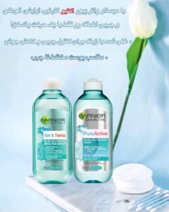 میسلار واتر پاک‌کننده صورت گارنیر مدل پیور اکتیو مخصوص پوست چرب و مستعد جوش Garnier SkinActive PureActive Micellar Cleansing Water
