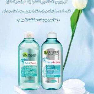 میسلار واتر پاک‌کننده صورت گارنیر مدل پیور اکتیو مخصوص پوست چرب و مستعد جوش Garnier SkinActive PureActive Micellar Cleansing Water