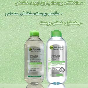 میسلار واتر پاک‌کننده گارنیر مناسب پوست مختلط و چرب Garnier SkinActive Micellar Cleansing Water for Combination & Oily Skin