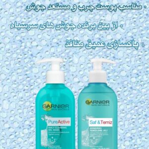 ژل شست‌وشوی روزانه پوست چرب و مختلط گارنیر مدل PureActive با سالیسیلیک اسید Garnier SkinActive PureActive Daily Cleansing Gel Wash